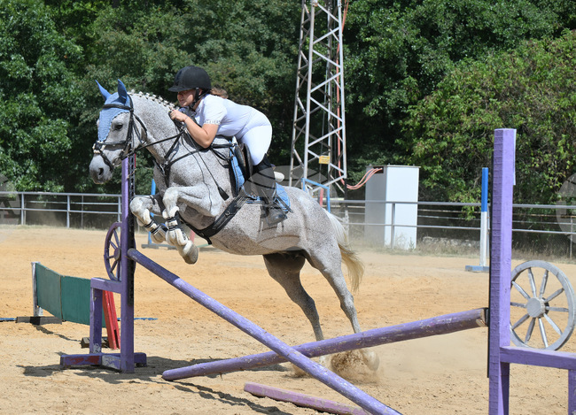 Вършец - конни състезания