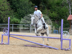 Вършец - конни състезания