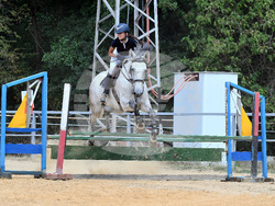 Вършец - конни състезания