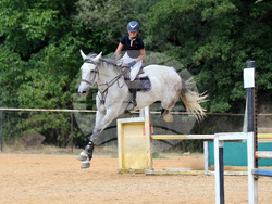 Вършец - конни състезания