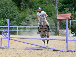Вършец - конни състезания