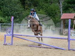 Вършец - конни състезания