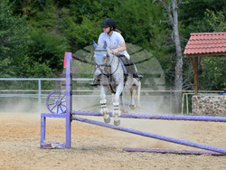 Вършец - конни състезания