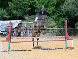 Вършец - конни състезания