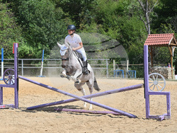 Вършец - конни състезания