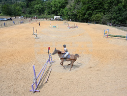 Вършец - конни състезания