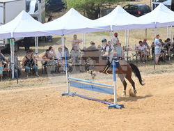 Вършец - конни състезания