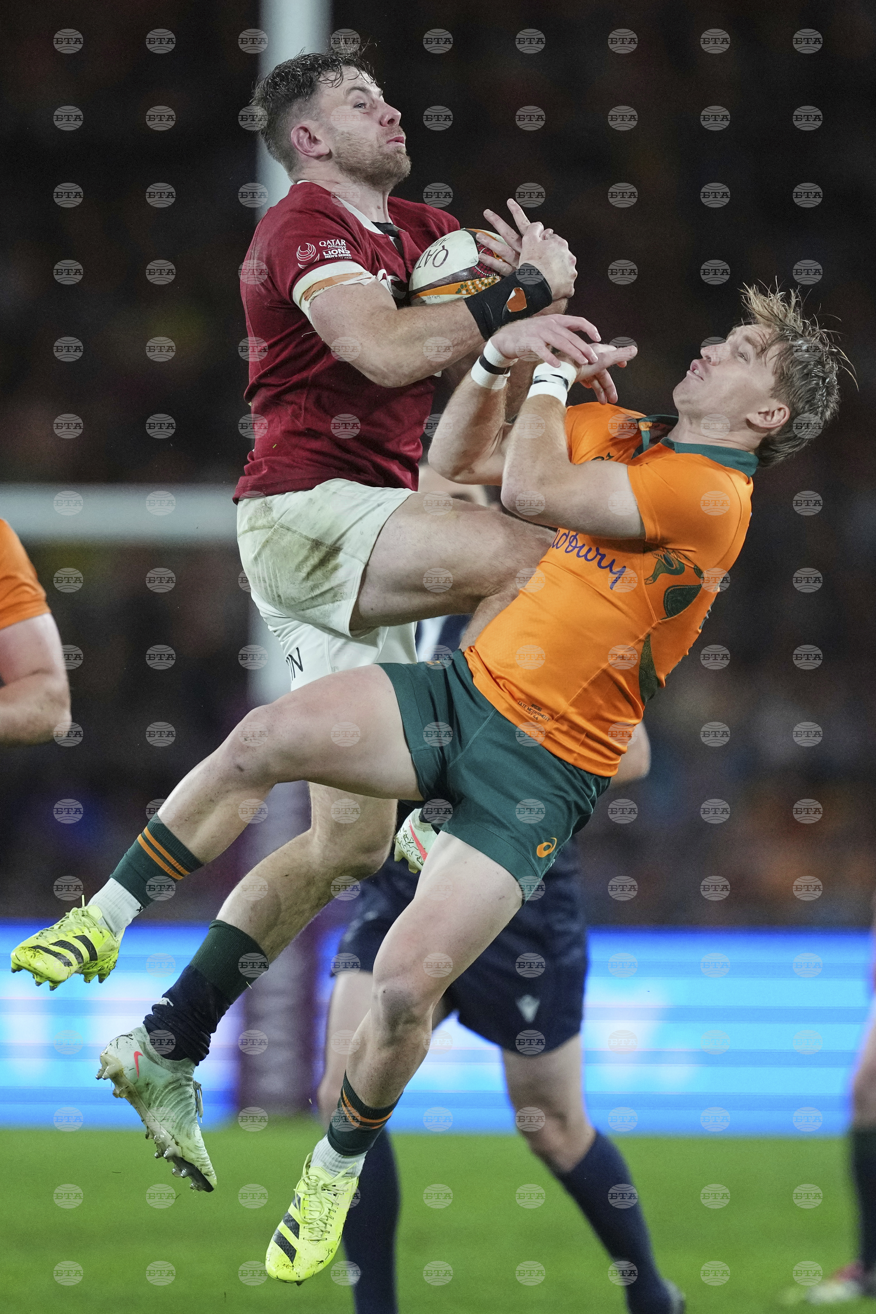Australia Lions Rugby