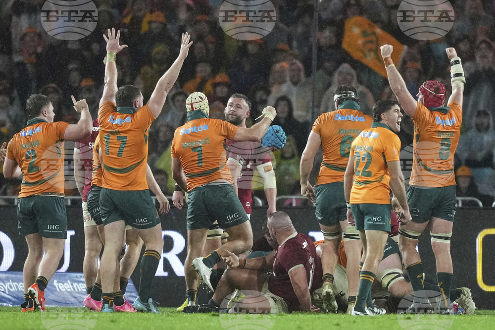Australia Lions Rugby