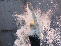 Singapore Swimming Worlds