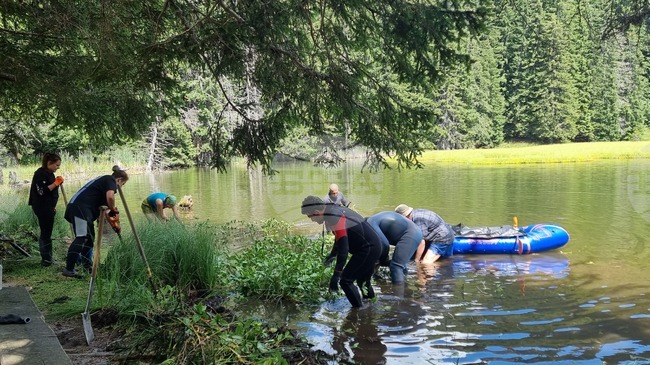 Водолази прочистиха едно от Смолянските езера от растителност и боклуци