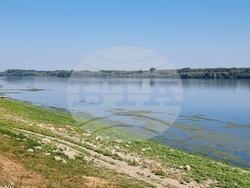 Село Остров - Фестивал на рибата и рибаря