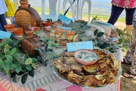 Село Остров - Фестивал на рибата и рибаря