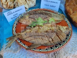 Село Остров - Фестивал на рибата и рибаря