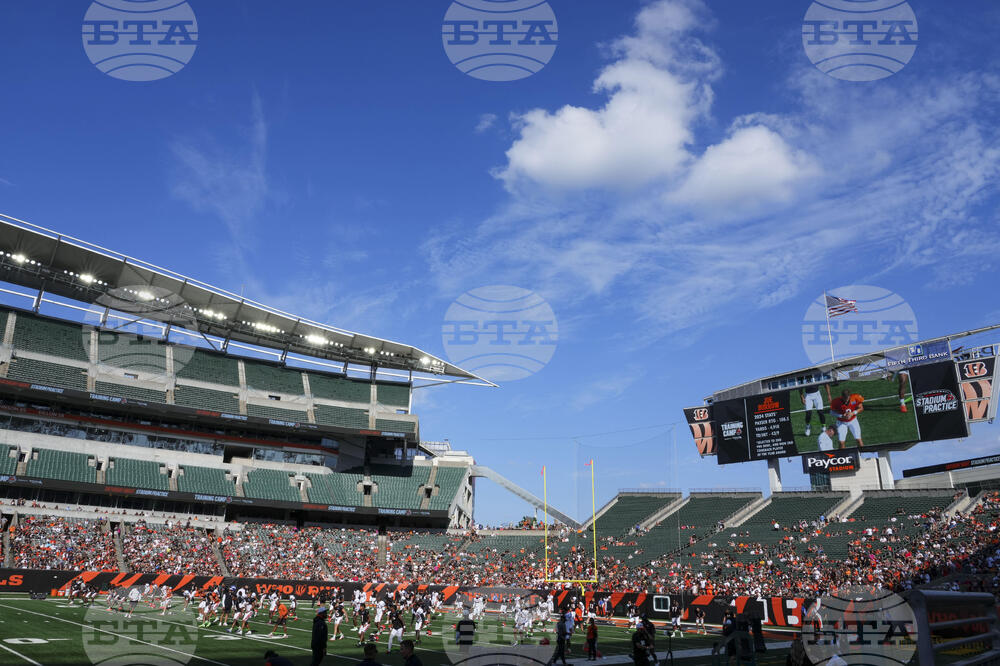 Bengals Camp Football
