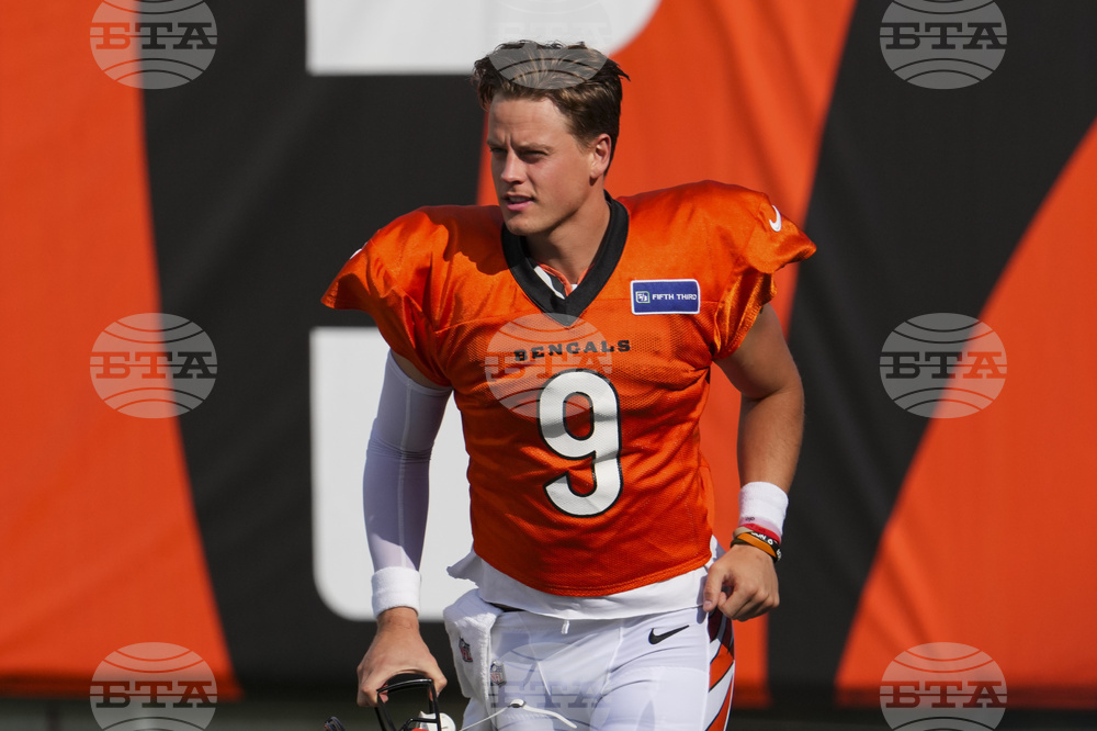 Bengals Camp Football