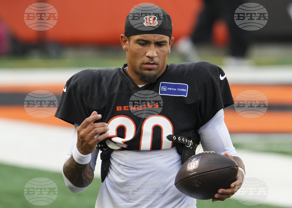 Bengals Camp Football
