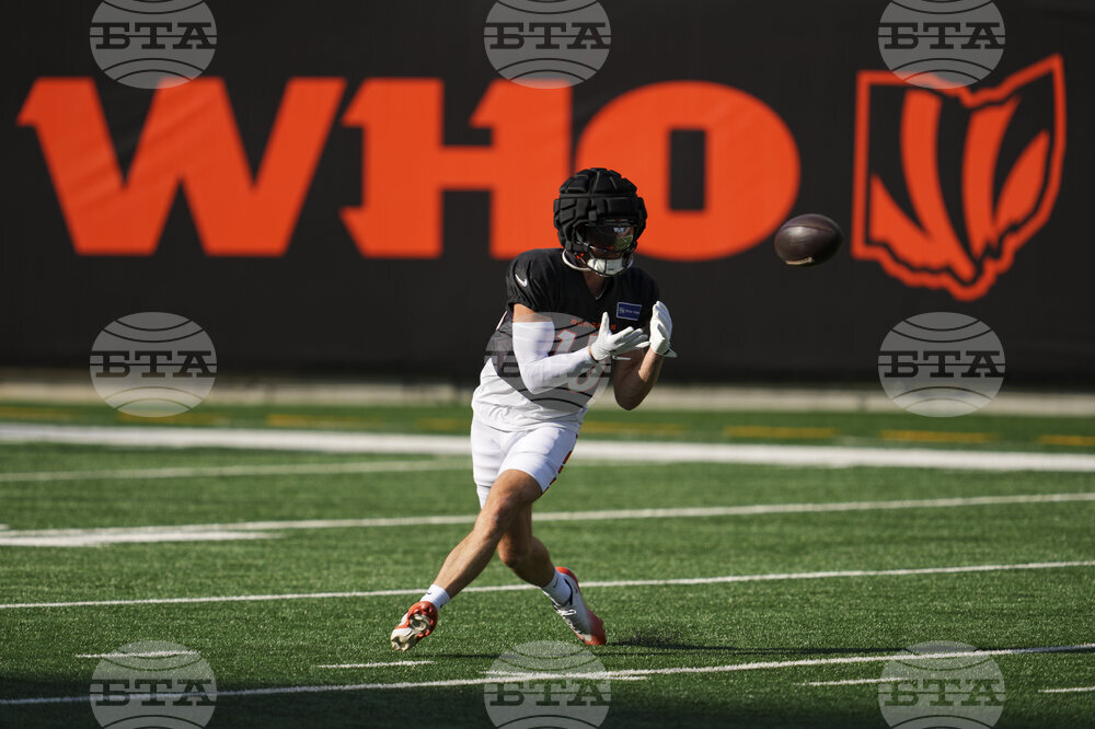 Bengals Camp Football