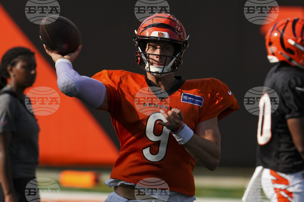 Bengals Camp Football