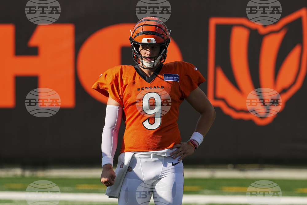 Bengals Camp Football
