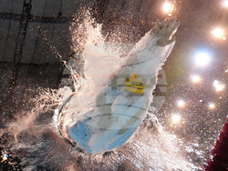 Singapore Swimming Worlds