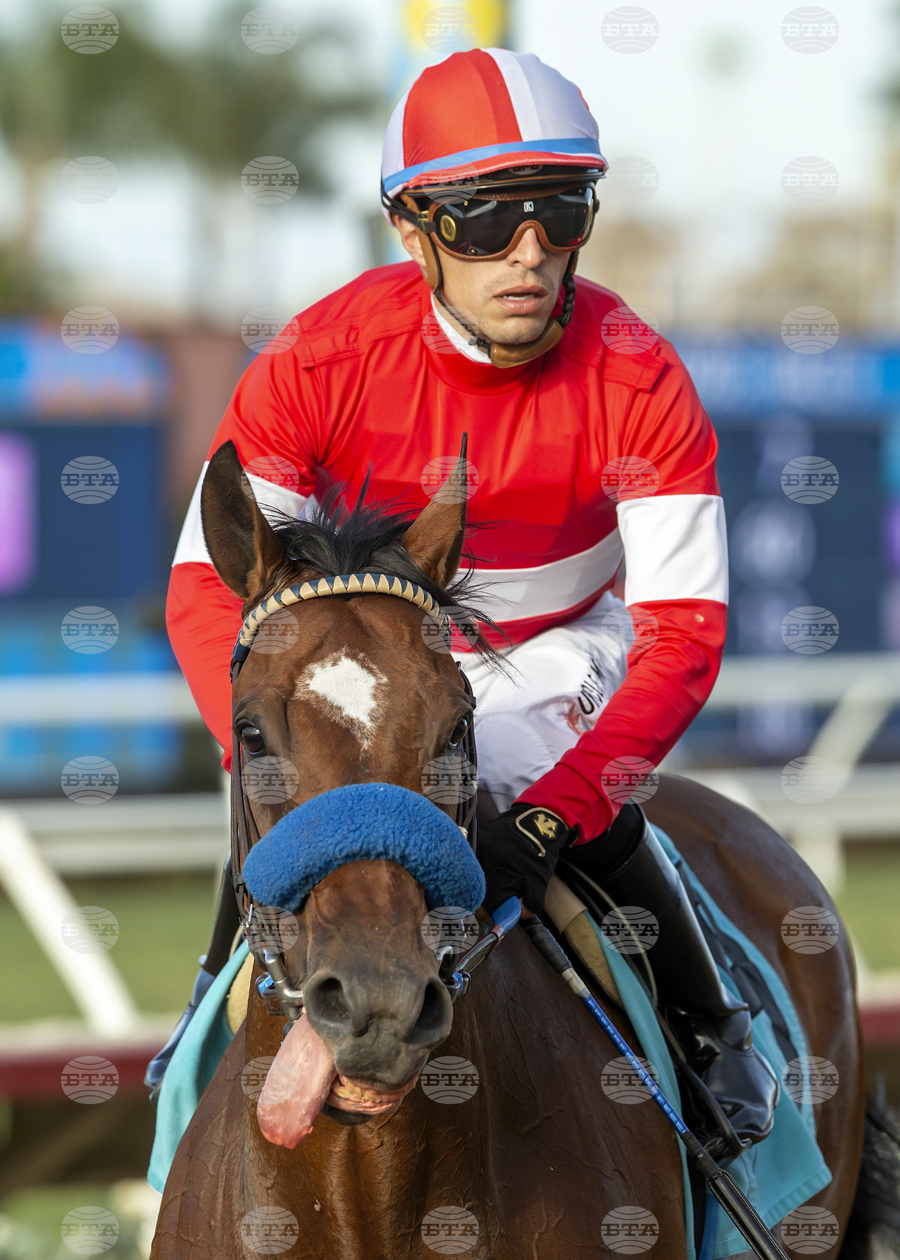 Del Mar Racing