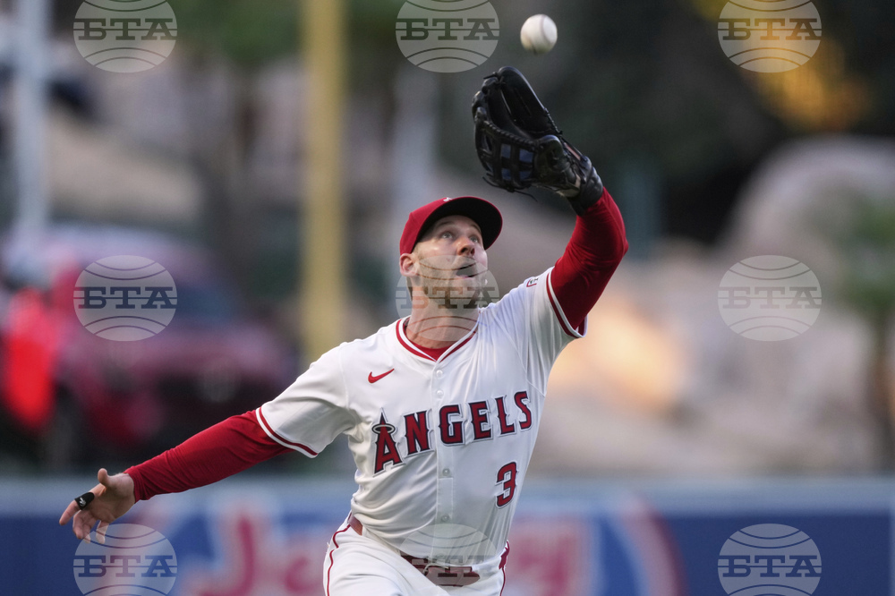 White Sox Angels Baseball