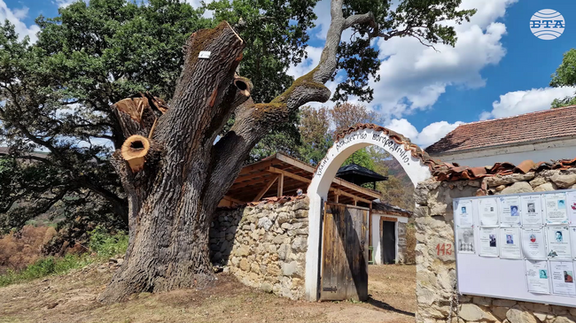 Доброволци, гасили пожара в трънските села, са с намерението да основат фондация „Живите съкровища на Трънско“