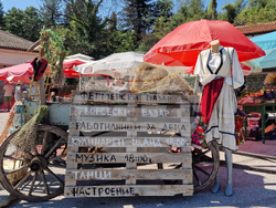 Село Храбрино - Празник на храбринската праскова