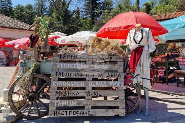 Около десет местни производители на праскови се включиха в третото издание на Празника на храбринската праскова