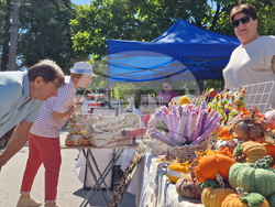 Село Храбрино - Празник на храбринската праскова