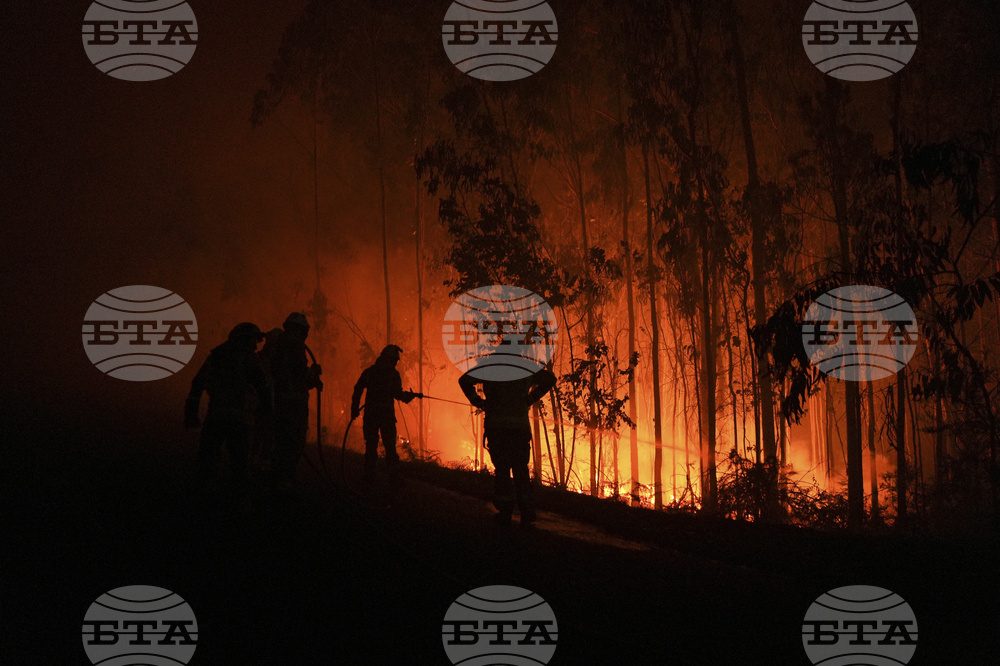 Над 1000 евакуирани в Испания заради горски пожари