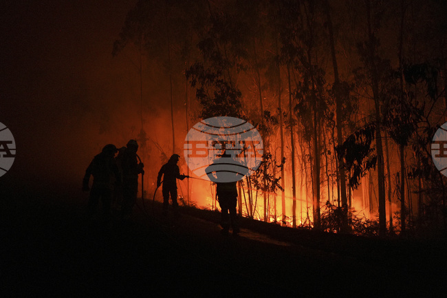 Над 1000 евакуирани в Испания заради горски пожари