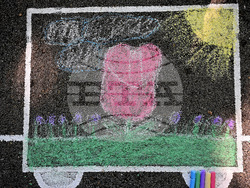 Вършец - деца - рисунка на асфалт