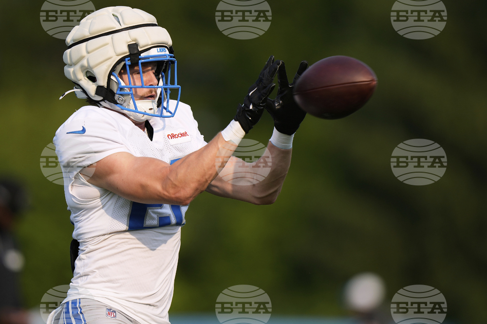 Lions Football