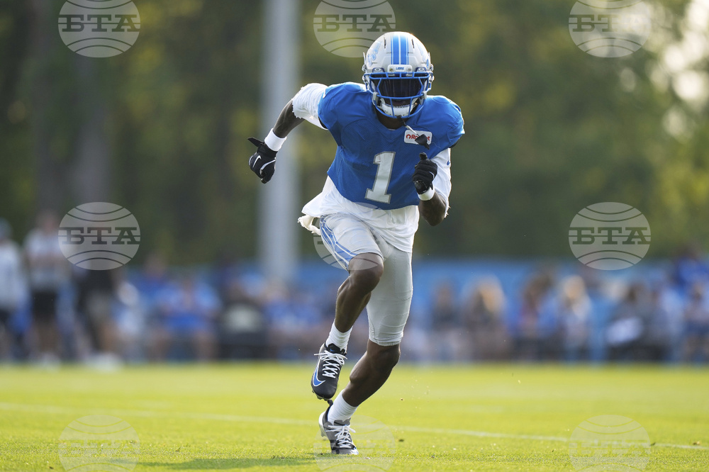 Lions Football