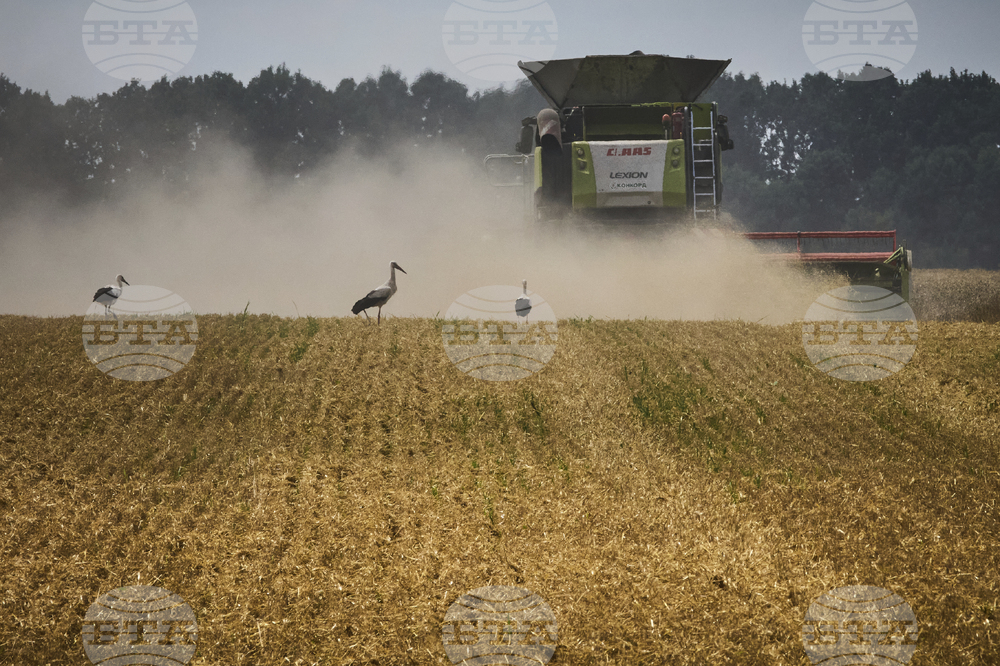 Russia Ukraine War Harvest