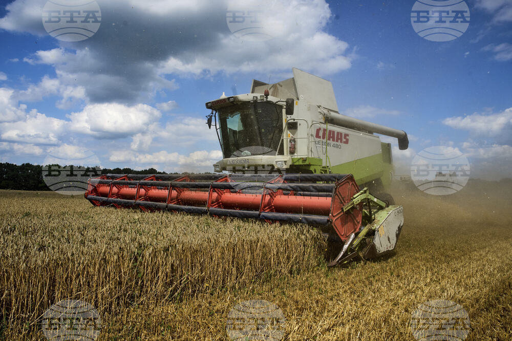 Russia Ukraine War Harvest