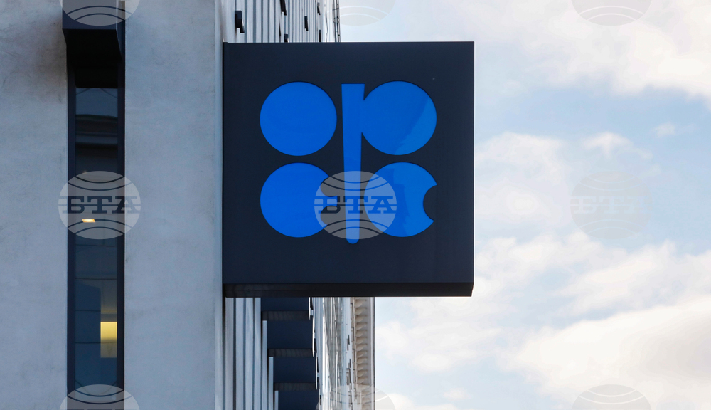 Oil Prices