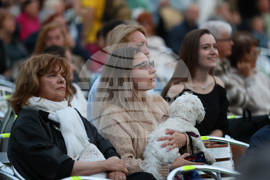 Банско - Банско джаз фестивал 2025 - Борис Петков - концерт