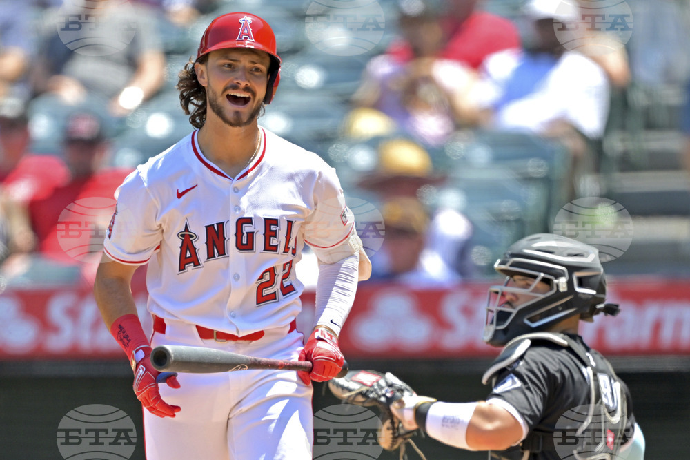 White Sox Angels Baseball