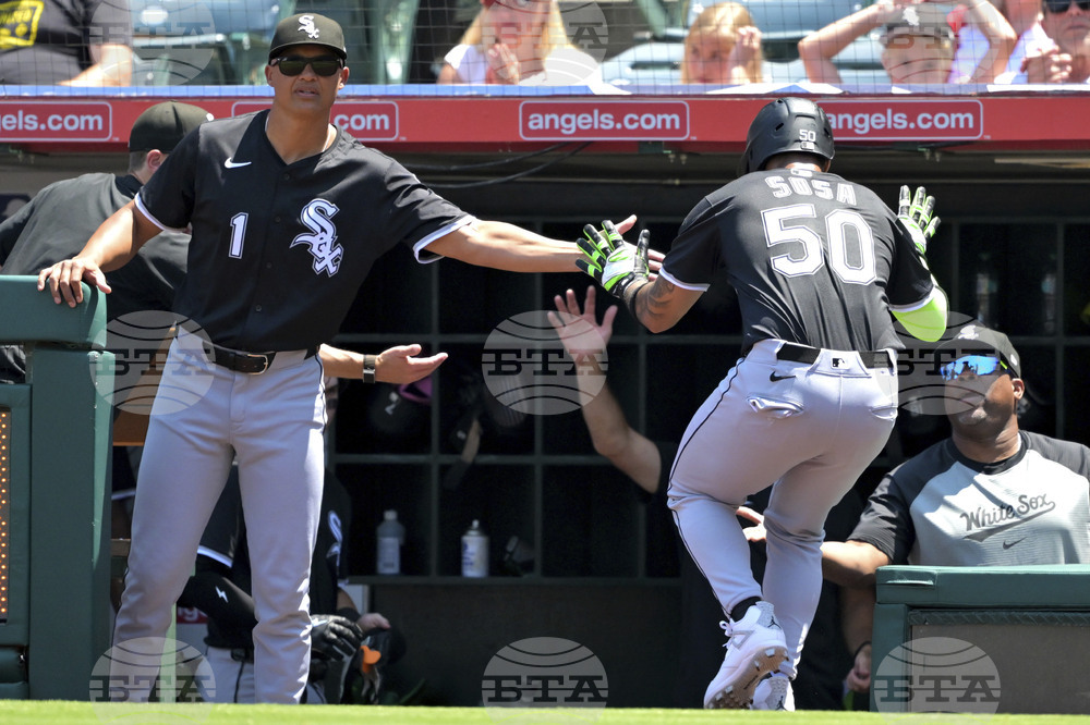 White Sox Angels Baseball