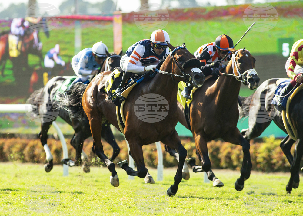 Del Mar Horse Racing