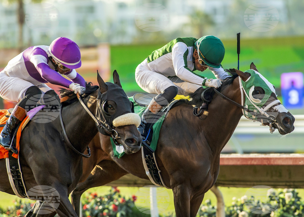 Del MAr Horse Racing