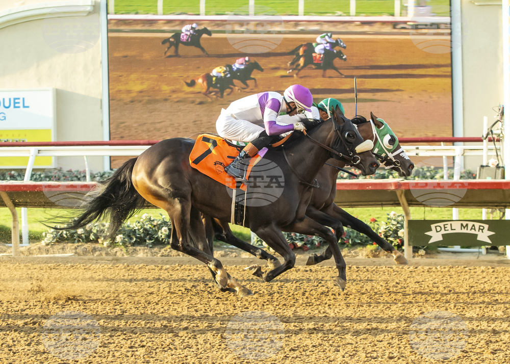 Del MAr Horse Racing