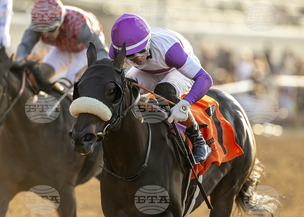 Del MAr Horse Racing