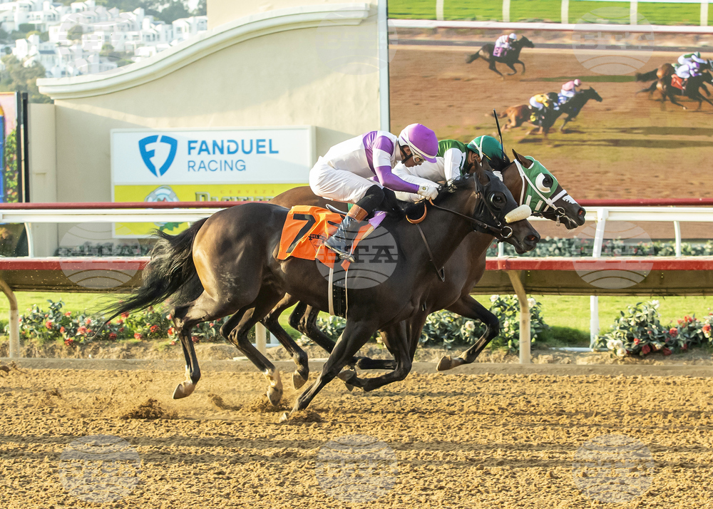 Del Mar Horse Racing
