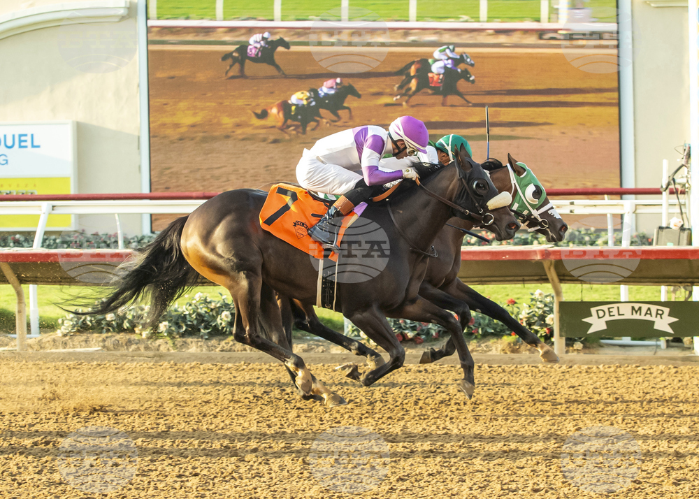 Del Mar Horse Racing