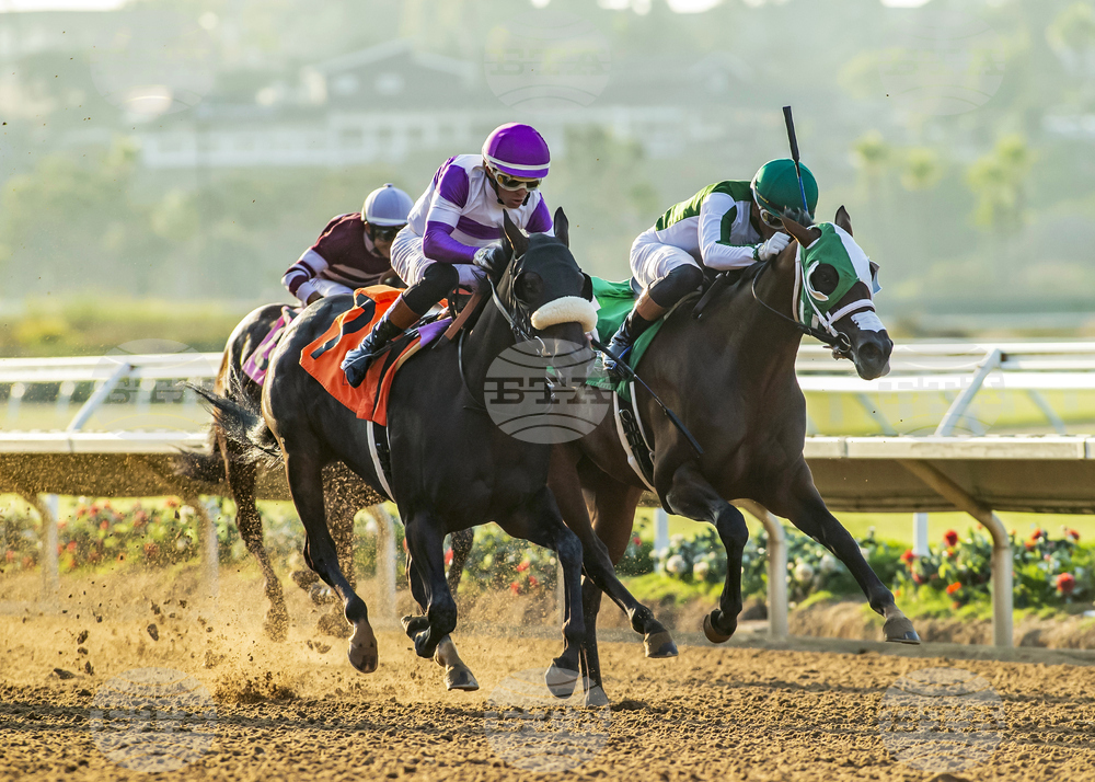 Del Mar Horse Racing