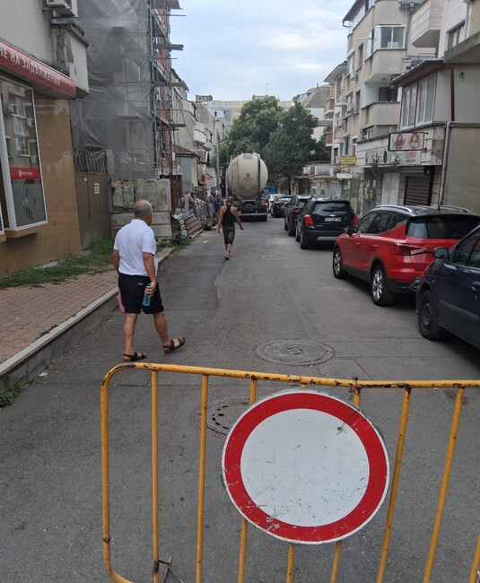 Община Стара Загора: Глобиха собственици на коне и крави, оставили ги без контрол в парк и в старозагорско село